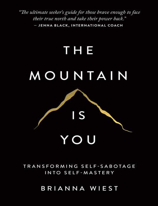 The Mountain Is You book cover